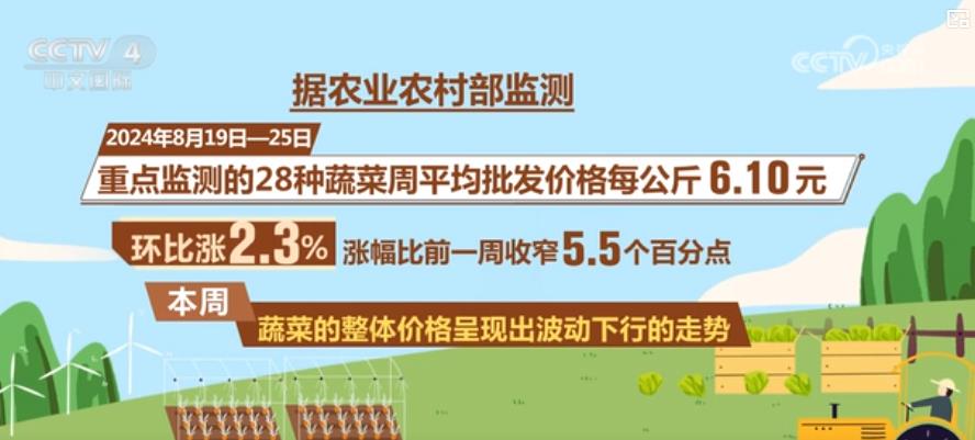 蔬菜价格明显回落 多措并举拎稳“菜篮子”__蔬菜价格明显回落 多措并举拎稳“菜篮子”