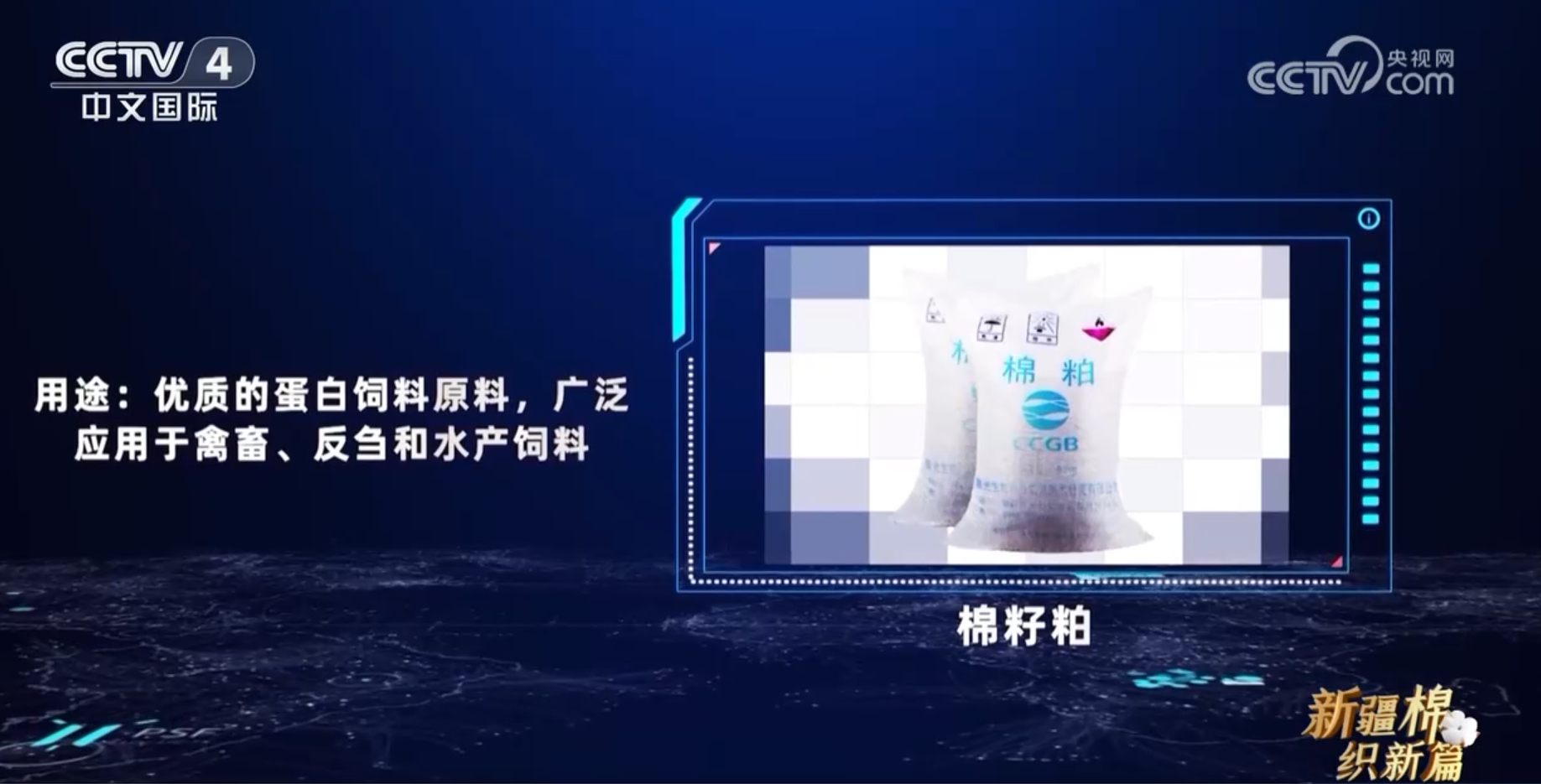 _新疆棉创新_助力新疆棉花是什么意思