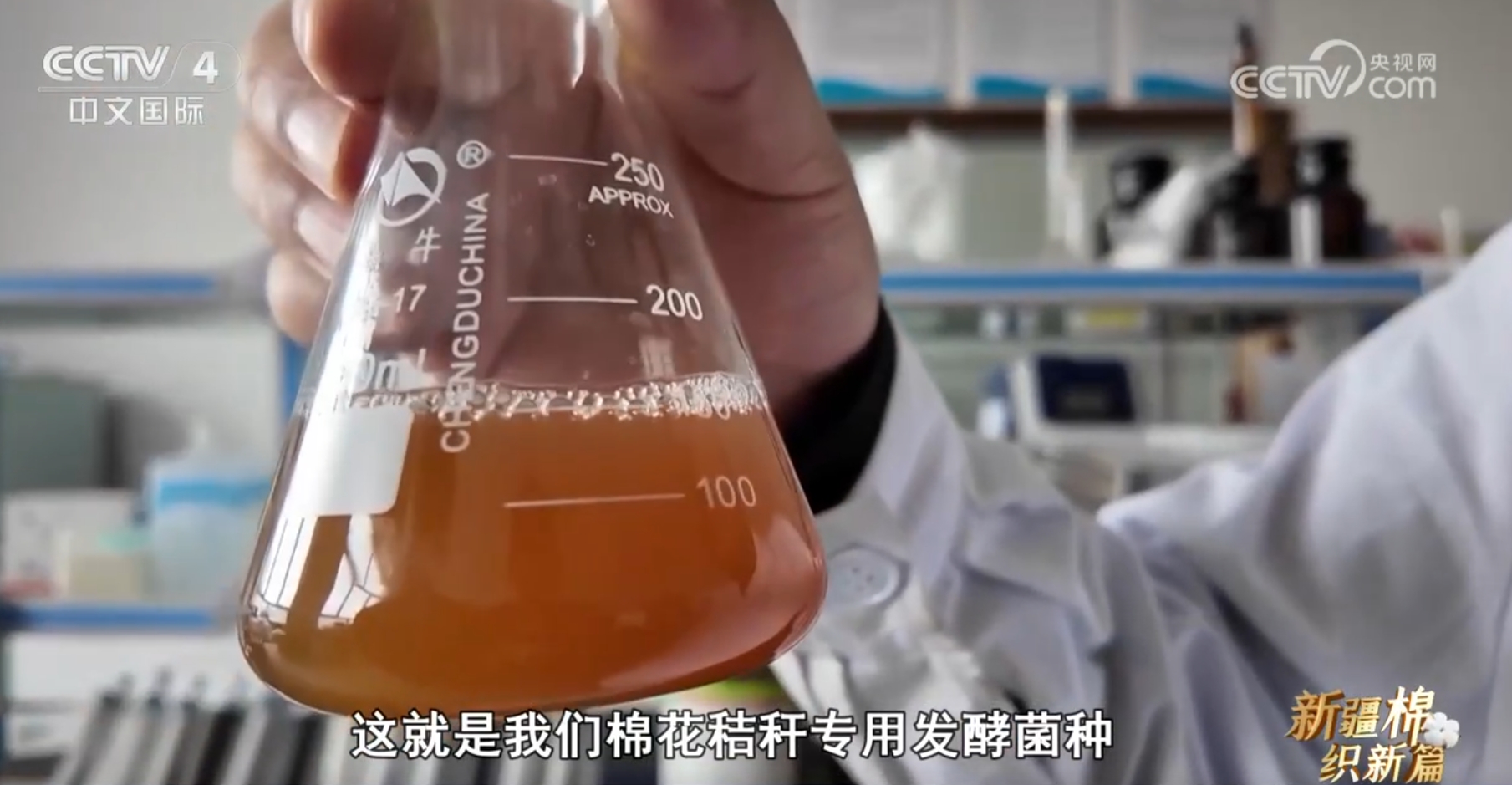 助力新疆棉花是什么意思_新疆棉创新_