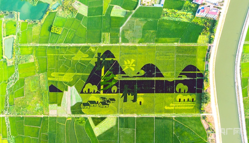 _论地质高质量发展_改善土地质量