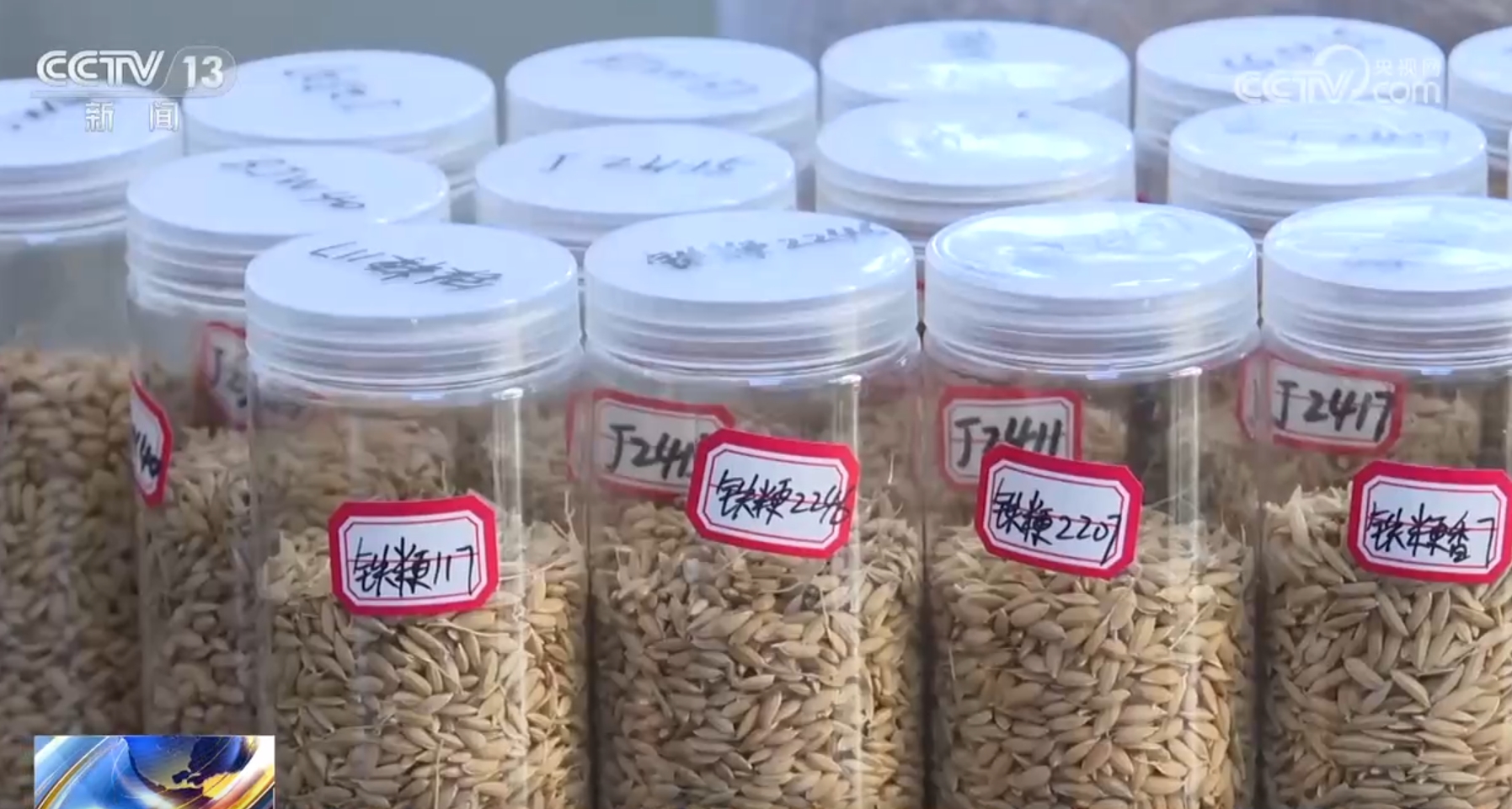 _待有良机的良的意思_云南良丰农业有限公司