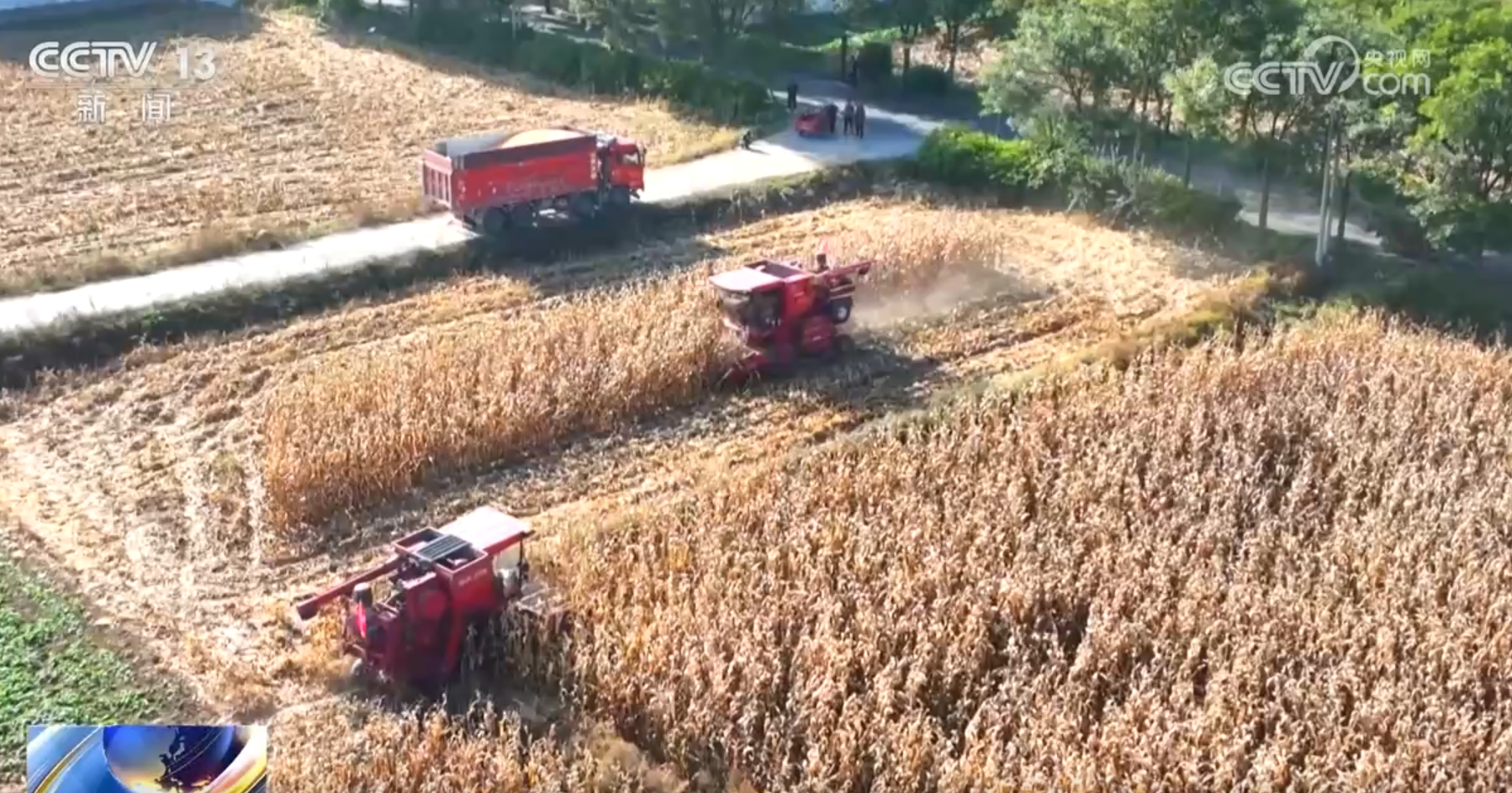 _待有良机的良的意思_云南良丰农业有限公司