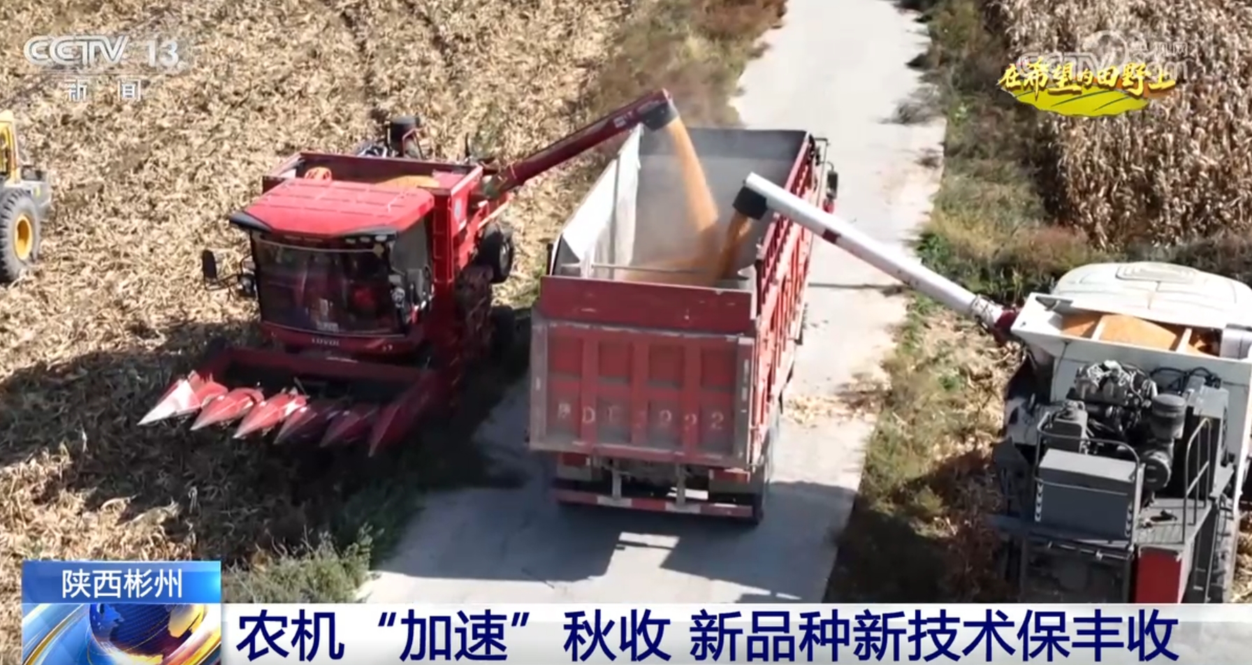 云南良丰农业有限公司_待有良机的良的意思_