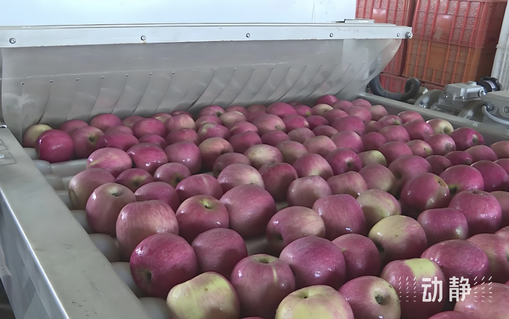 振兴老工业区措施__振兴老区是什么短语