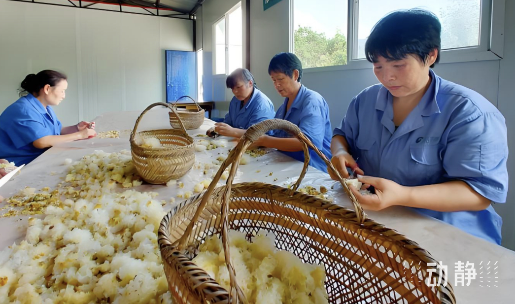 振兴老区是什么短语_振兴老工业区措施_