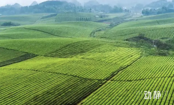 振兴老工业区措施_振兴老区是什么短语_