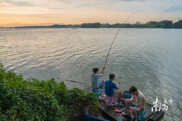 夕阳下，市民在榕江边垂钓。