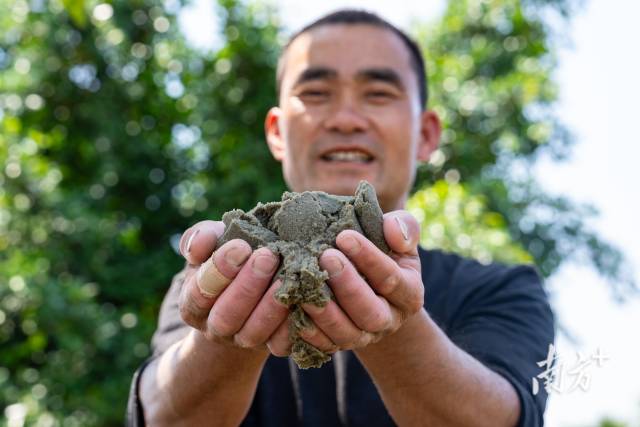 王锡鹏捧着刚从榕江捕捞上来的新鲜涂虾。