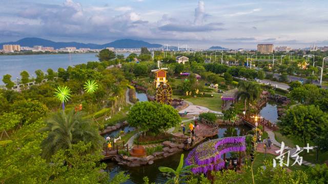 塘埔湿地公园。黄伟旭 摄