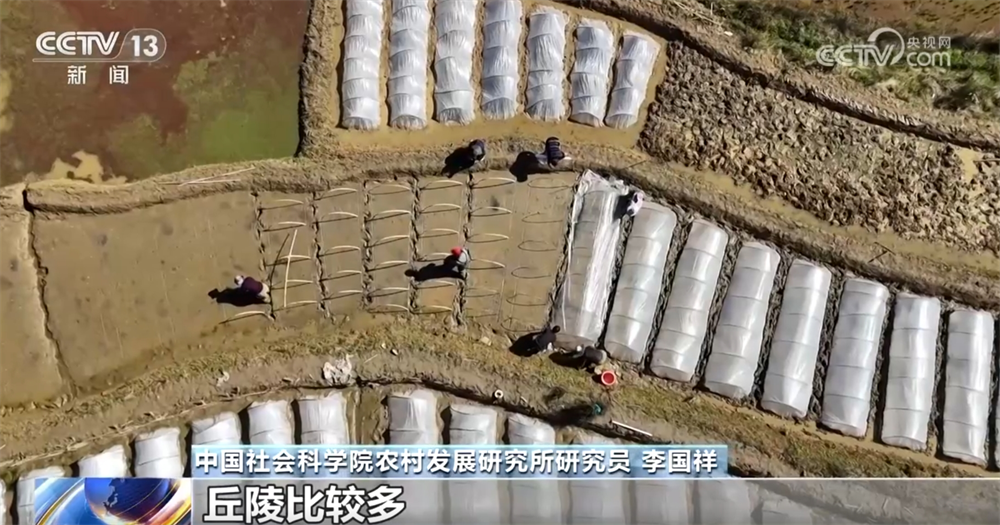 农田建设项目推进情况__农田亮点方案快速实施目标文件