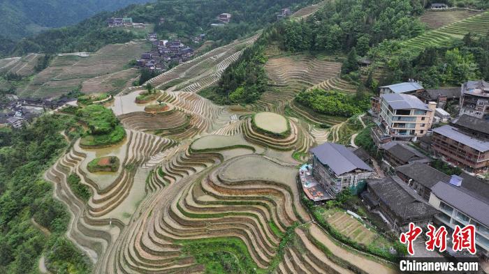 （乡村行·看振兴）广西龙脊梯田：背篓变迁见证千年农耕传统魅力