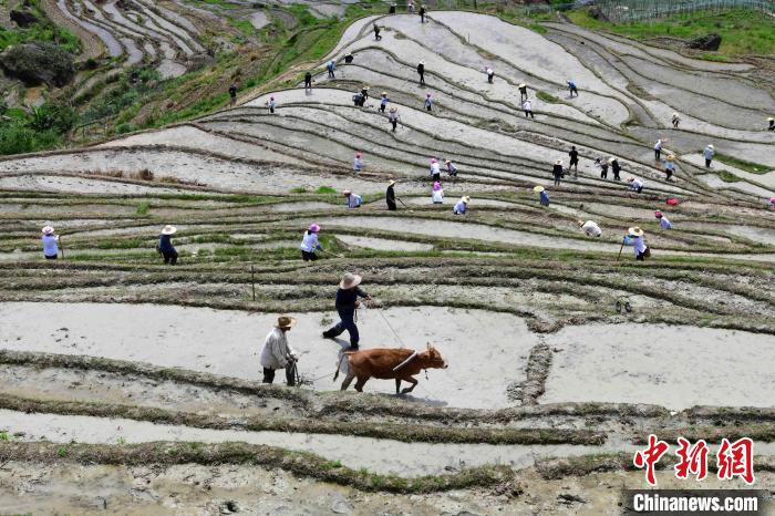 广西梯田在哪个城市_广西农耕文化_