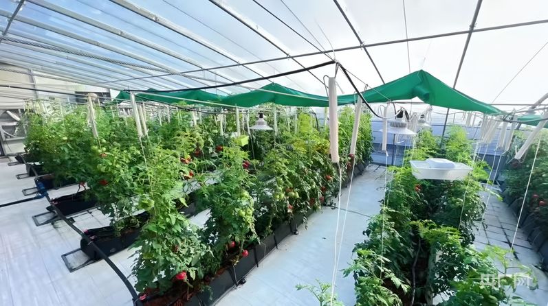 天津乘“数”而上打开高质量发展新空间_天津乘“数”而上打开高质量发展新空间_