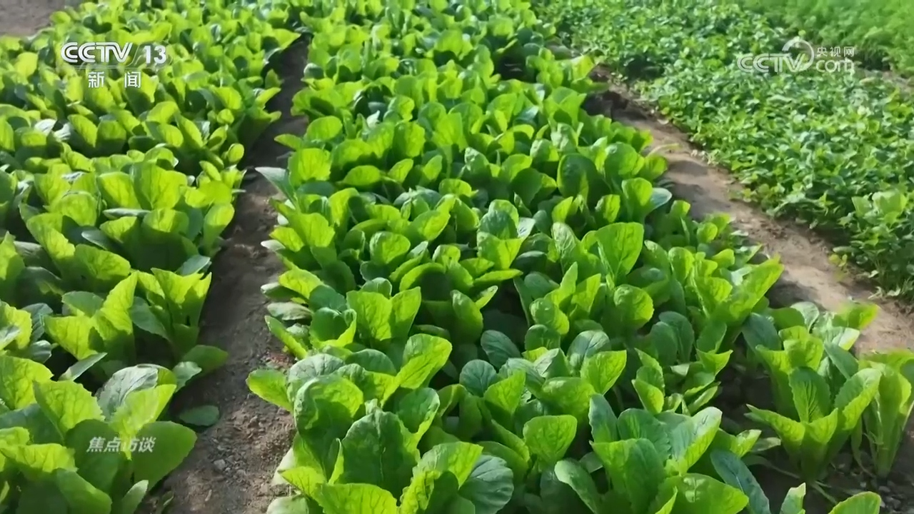 _总书记的足迹 | 让人民生活幸福是“国之大者”_总书记的足迹 | 让人民生活幸福是“国之大者”