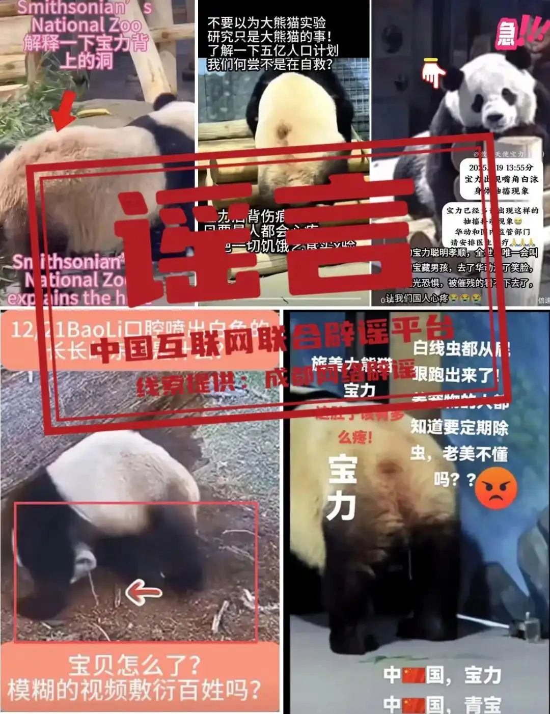 _2025年酉亥月_2025年6月7日是星期几