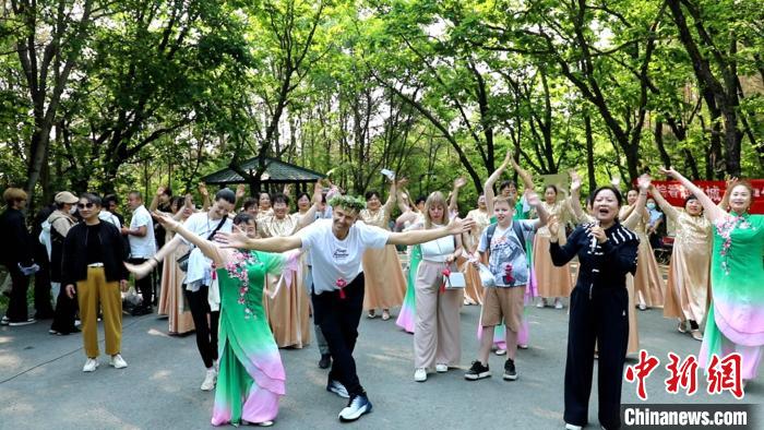 东北饶河黑蜂椴花雪蜜__东北饶河黑蜂雪蜜
