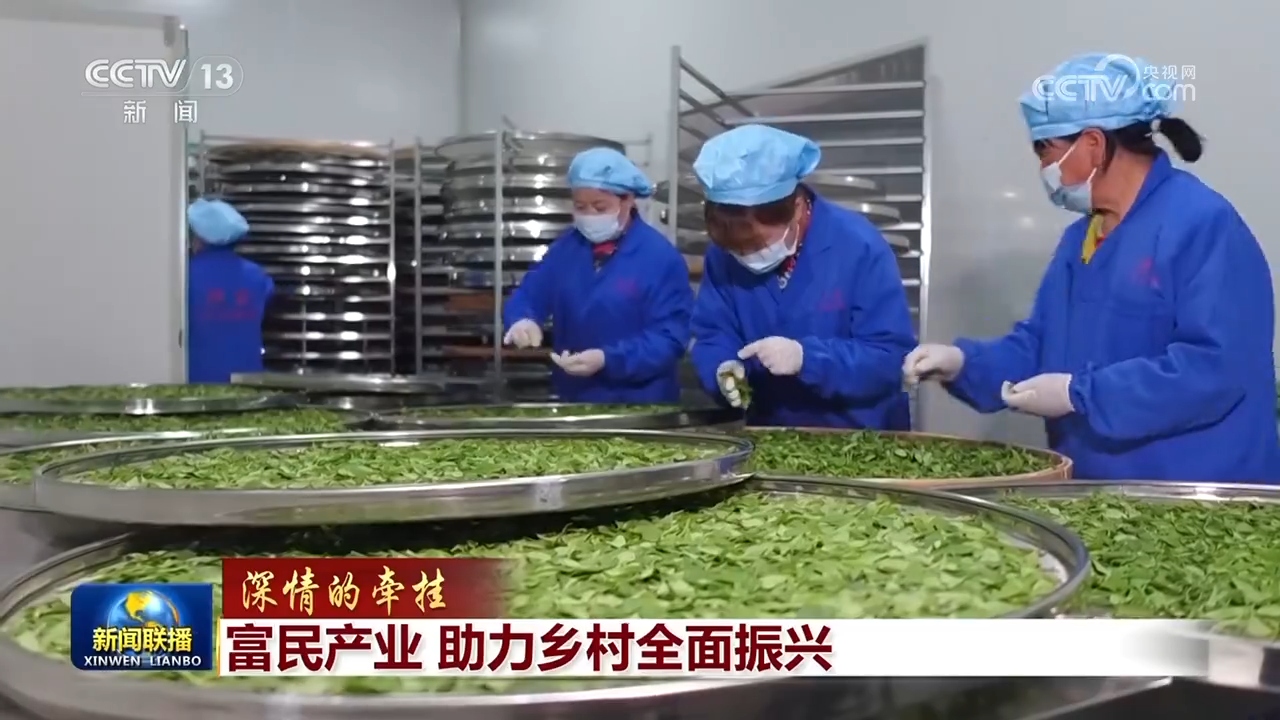 援助乡村振兴__助力乡村振兴更