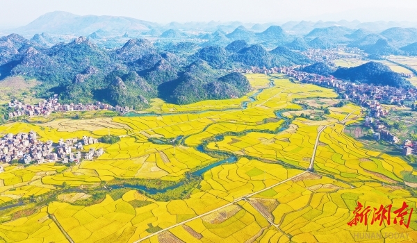 中部崛起__中部崛起是指