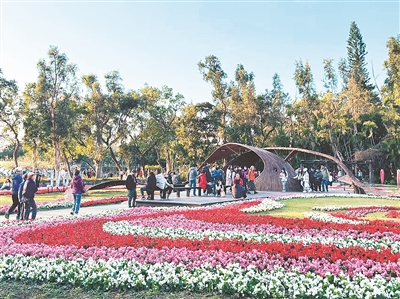 一样的年味浓情 一样的团圆喜庆