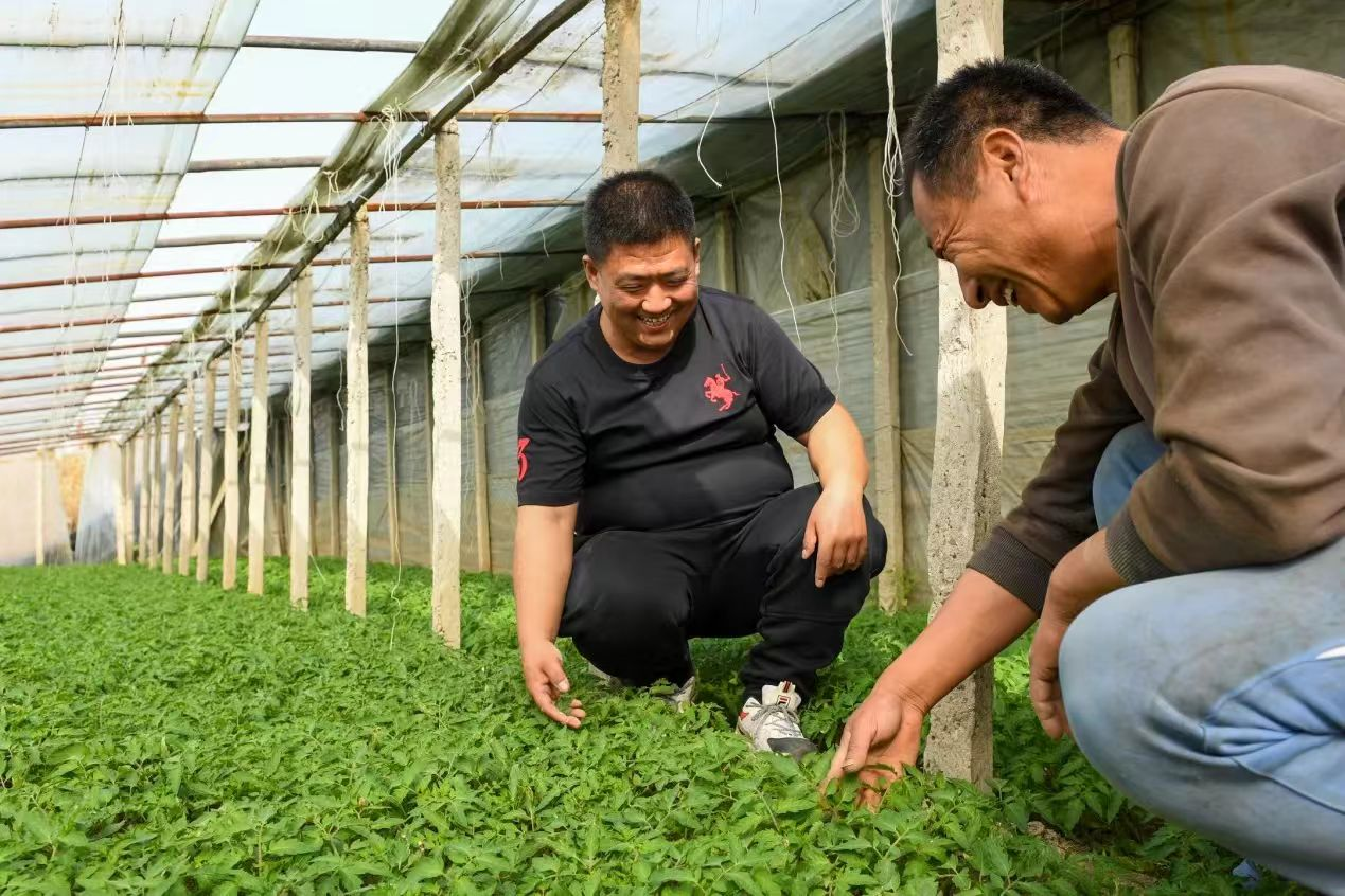 乡村振兴画展__努力绘就乡村振兴的美丽画卷
