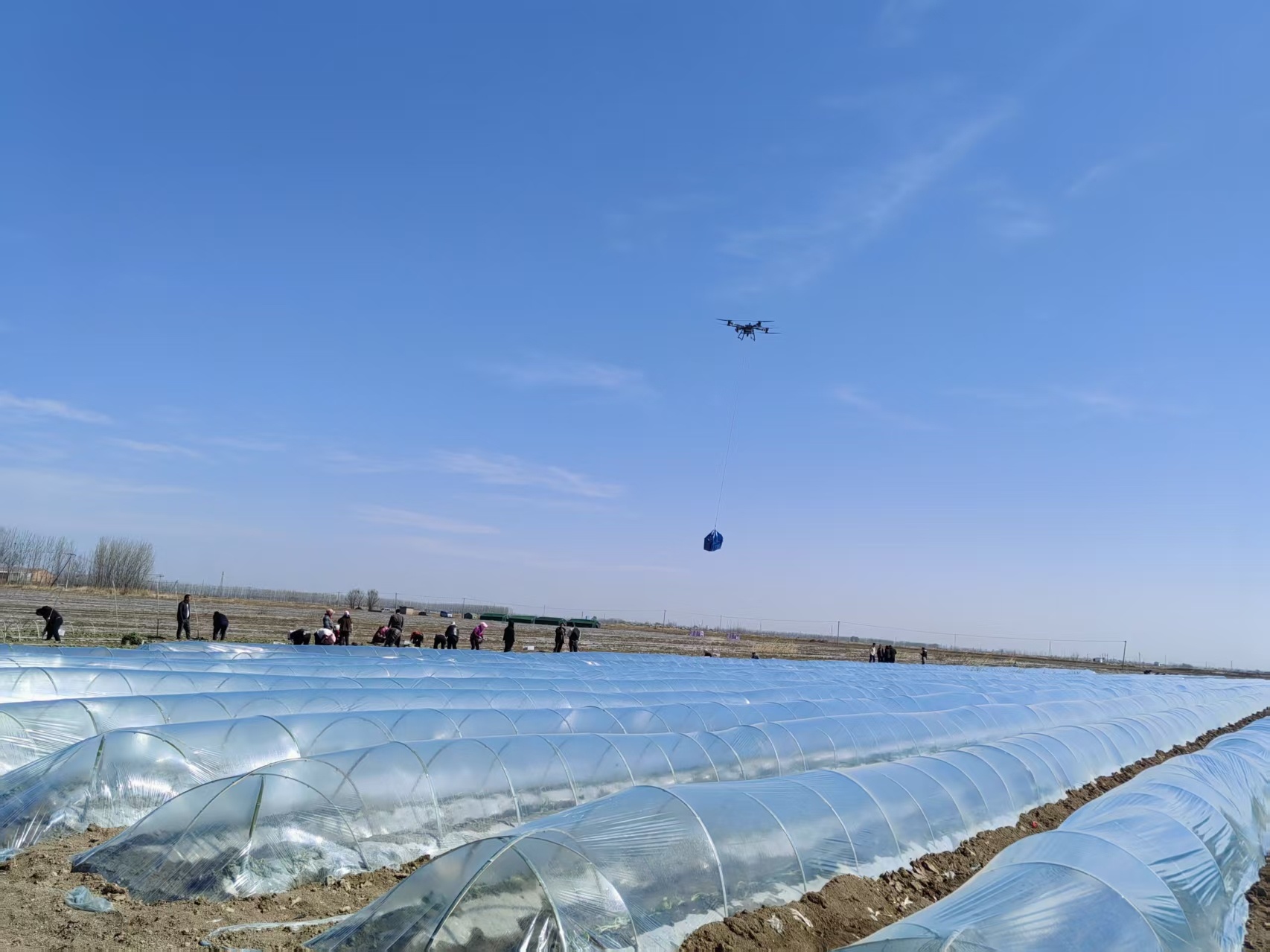 _努力绘就乡村振兴的美丽画卷_乡村振兴画展