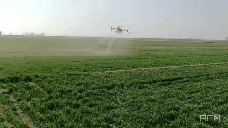 _乡村振兴画展_努力绘就乡村振兴的美丽画卷