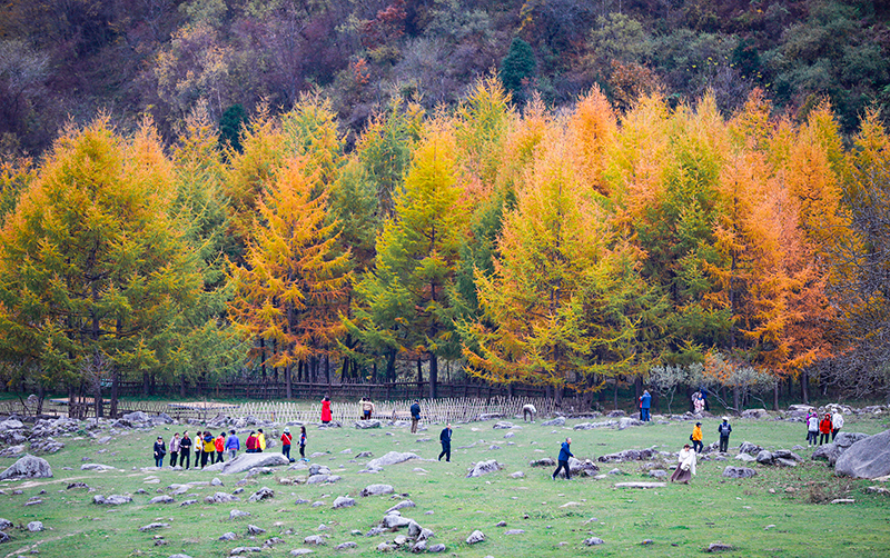 2023年10月27日，深秋时节的陕西秦岭太子岭漫山红黄、色彩交织，进入最佳观赏期。