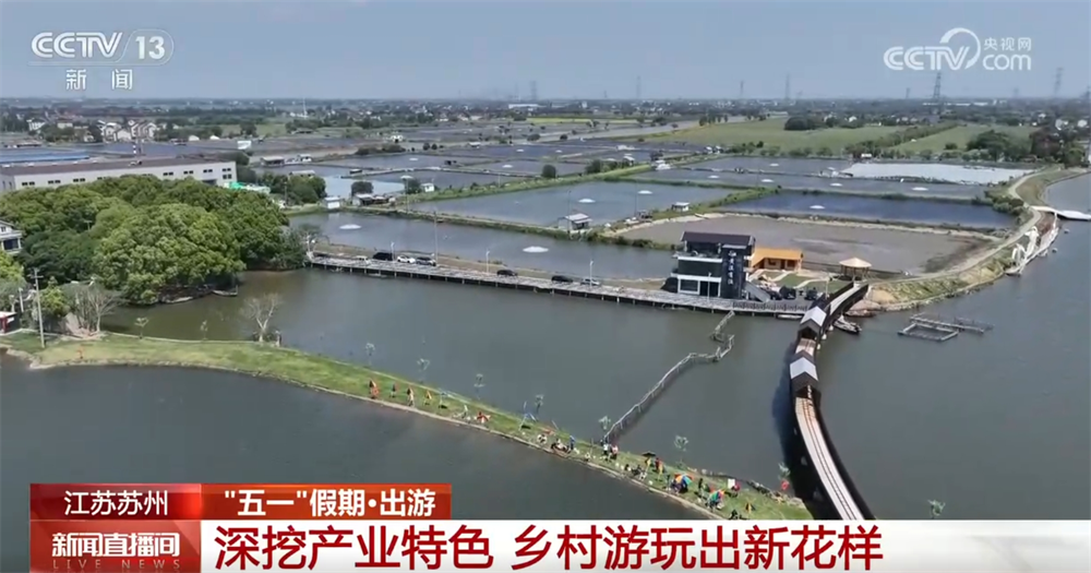 百花乡村酒店_百花村项目_