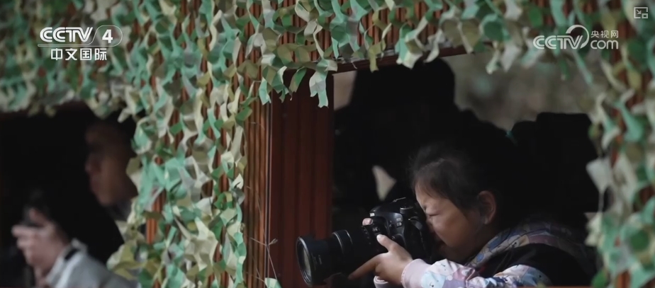 一次玩儿多城，“回头客”多！外国游客体验多元中国年_一次玩儿多城，“回头客”多！外国游客体验多元中国年_