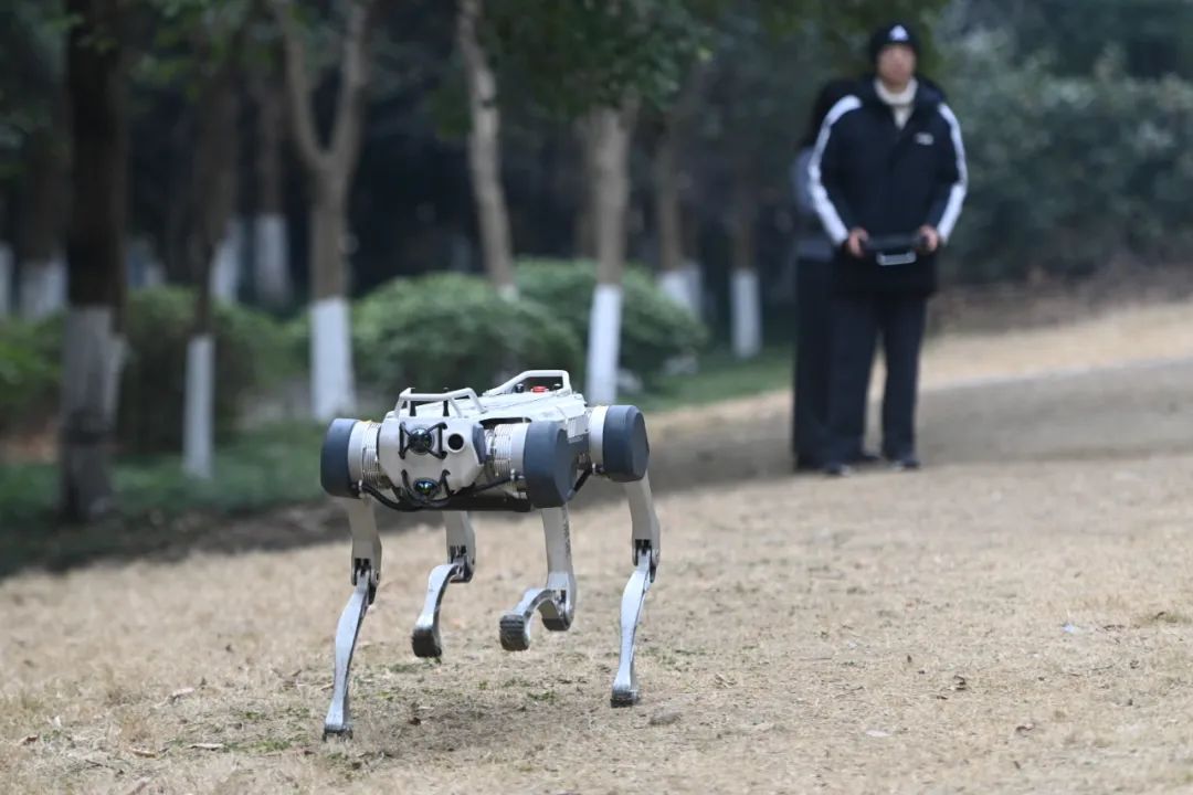 发挥民营经济__民营经济蓬勃发展