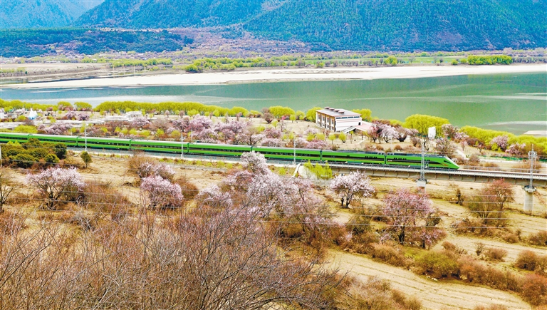 世界屋脊上流动的“发展引擎”