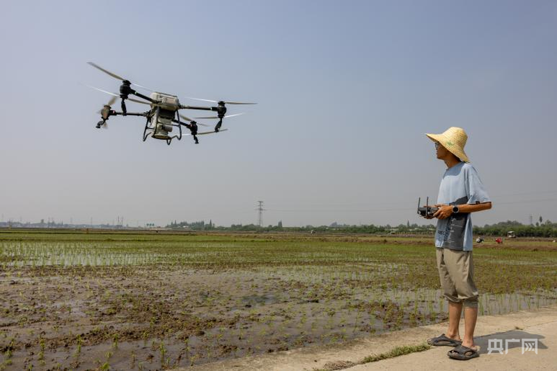 _牢记嘱托感恩奋进范文_四川粮食安全藏粮于民