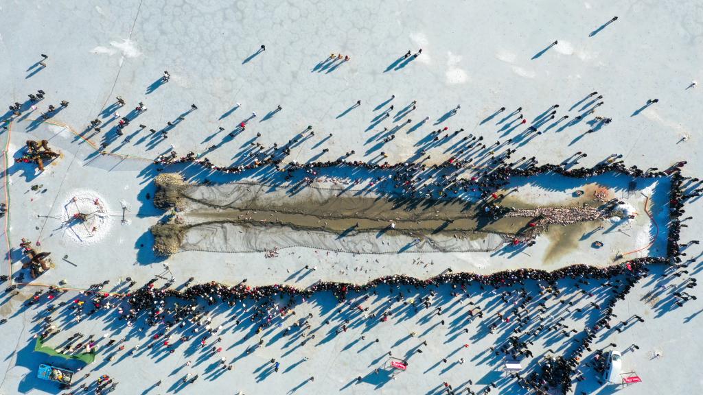 _新华网app_新华网实时文章