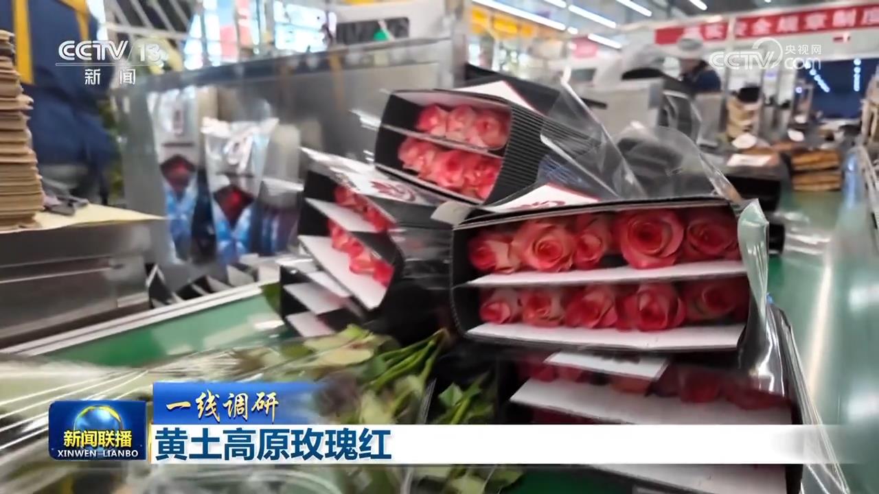 广场舞高原上的红__高原上的红广场舞