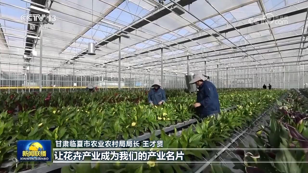 高原上的红广场舞__广场舞高原上的红