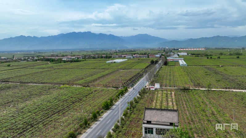 【乡路上，感受脉动中国】“美丽乡路”服务提质  “地标鲜果”助力振兴