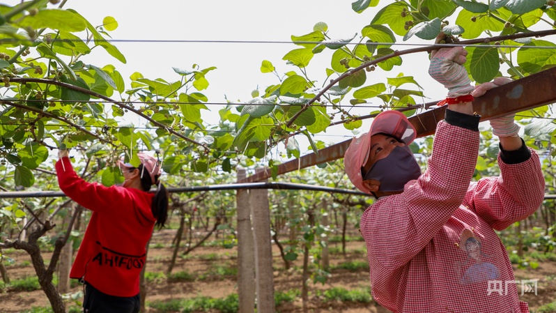 助力乡镇振兴_有关乡村振兴路边标语_