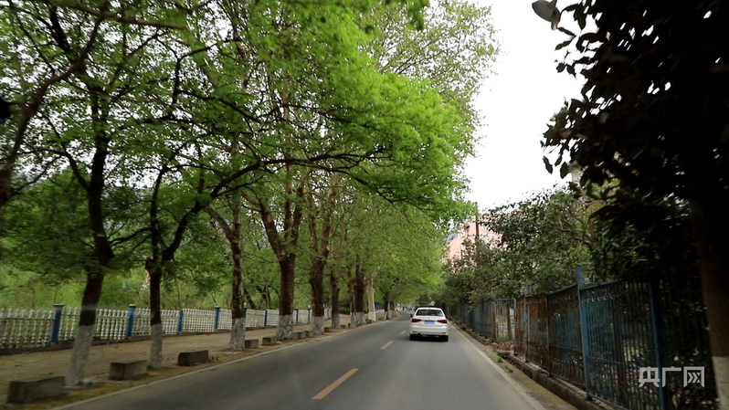 有关乡村振兴路边标语__助力乡镇振兴