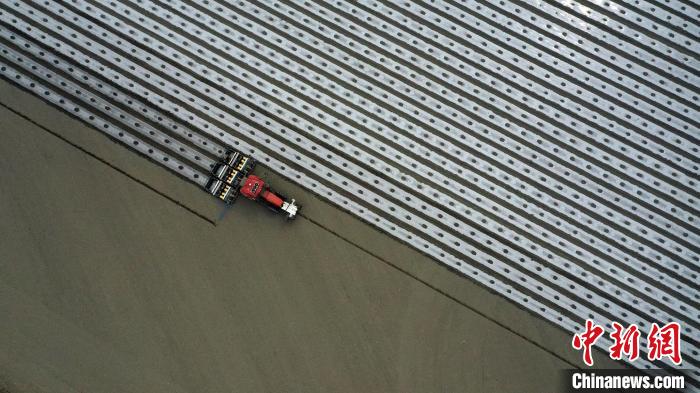 新疆棉花化控技术_棉花创新_