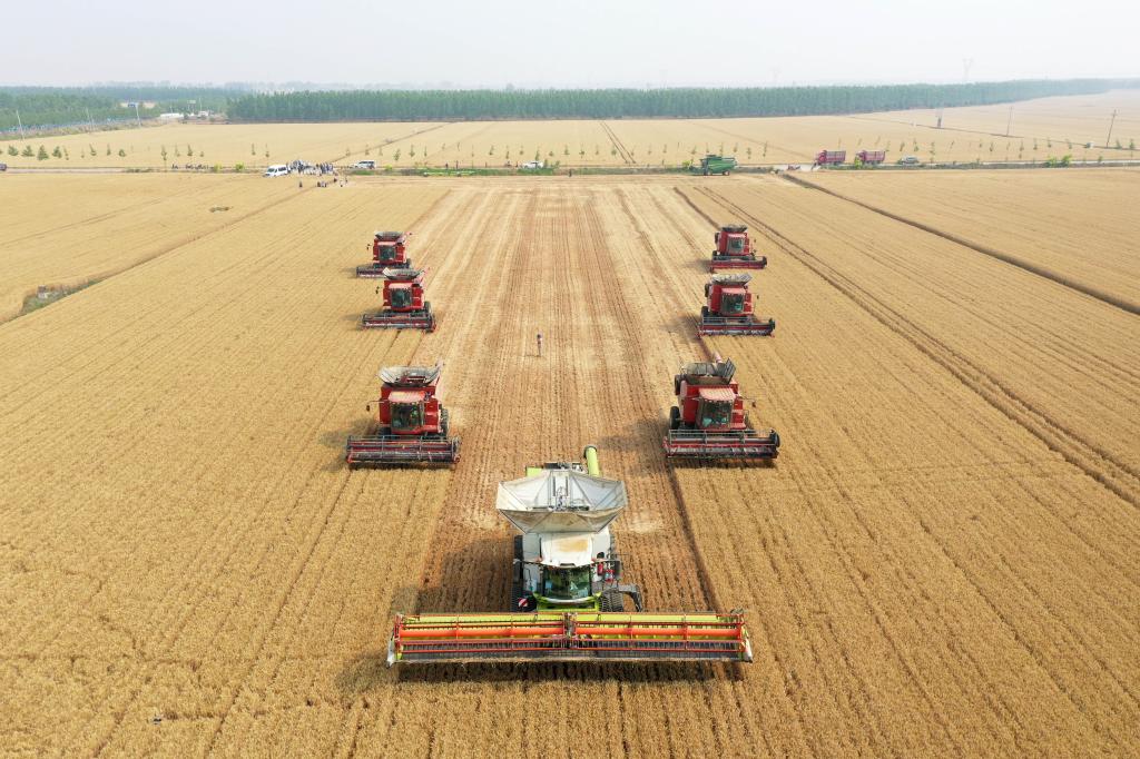 好评中国丨打赢“三夏”攻坚战  护航全年新“丰”景