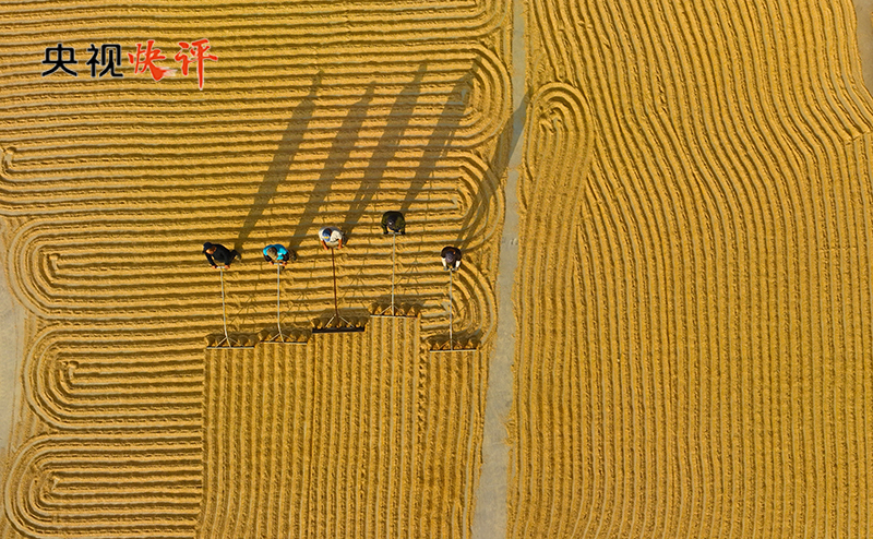 _实干与机遇_实干与机遇的例子