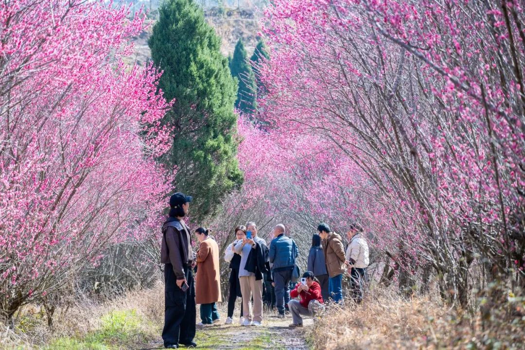 富奥斯系列生态门_长沙富佳生态酒店价格_