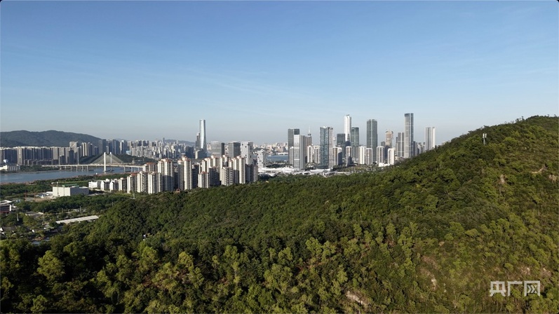琴澳共融大湾区  串联成“珠”向海图强