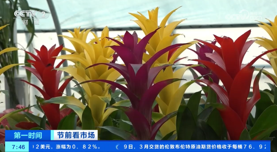 _置办年货迎新春_备年货迎新春