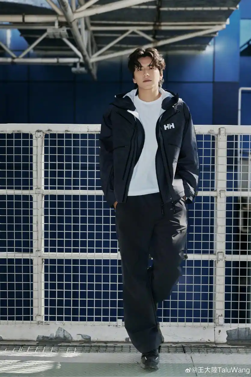 诈骗案帮凶__诈骗团伙覆灭记