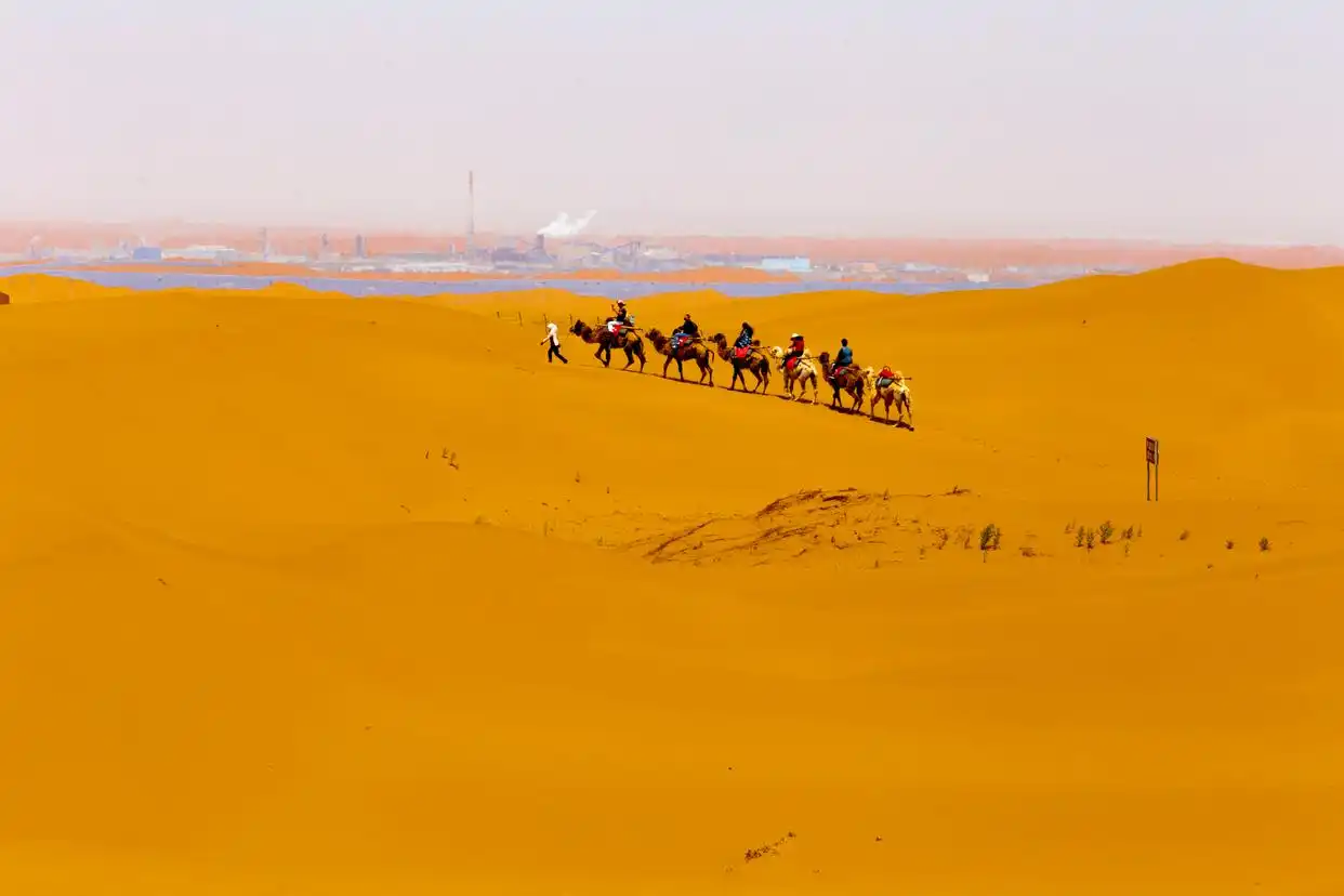 _宁夏政治协商委员会_宁夏政协委员会