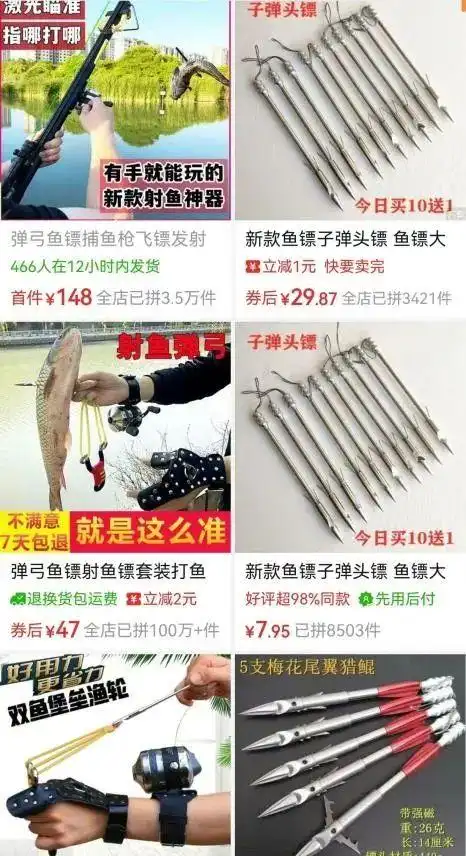 上海市民接力找寻7天!脸被射穿的狸花猫获救,医药费1天筹到四千多_上海市民接力找寻7天!脸被射穿的狸花猫获救,医药费1天筹到四千多_