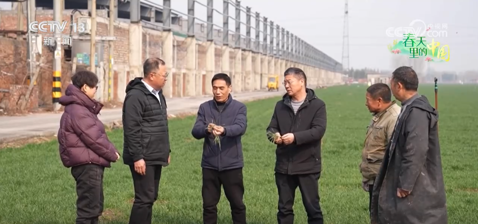 写田野丰收景象的作文_田野丰收的景象怎么写_