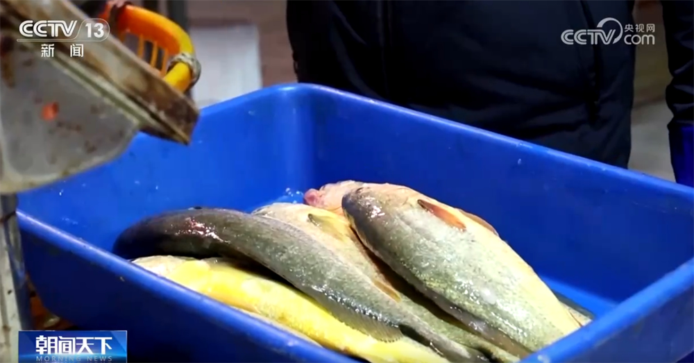 如何激发海洋经济迸发“新”活力 浙江探索“蓝色未来”新引擎__如何激发海洋经济迸发“新”活力 浙江探索“蓝色未来”新引擎