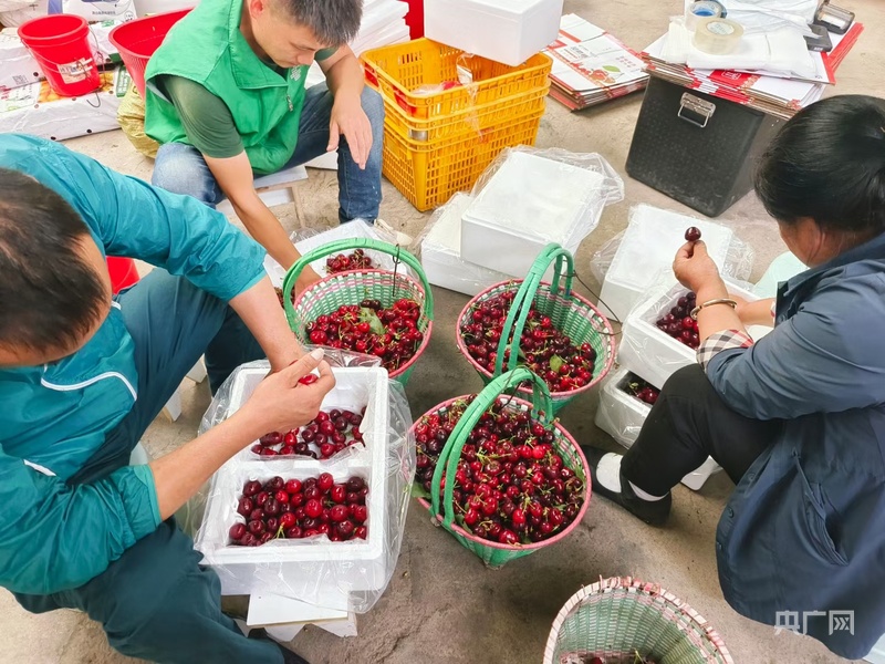 【乡路上，感受脉动中国】果香飘四季  高山村寨农旅融合“一路生花”